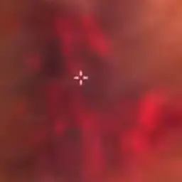 UnfitSmoke4044의 너는 고양이를 더좋아해🐈🐱