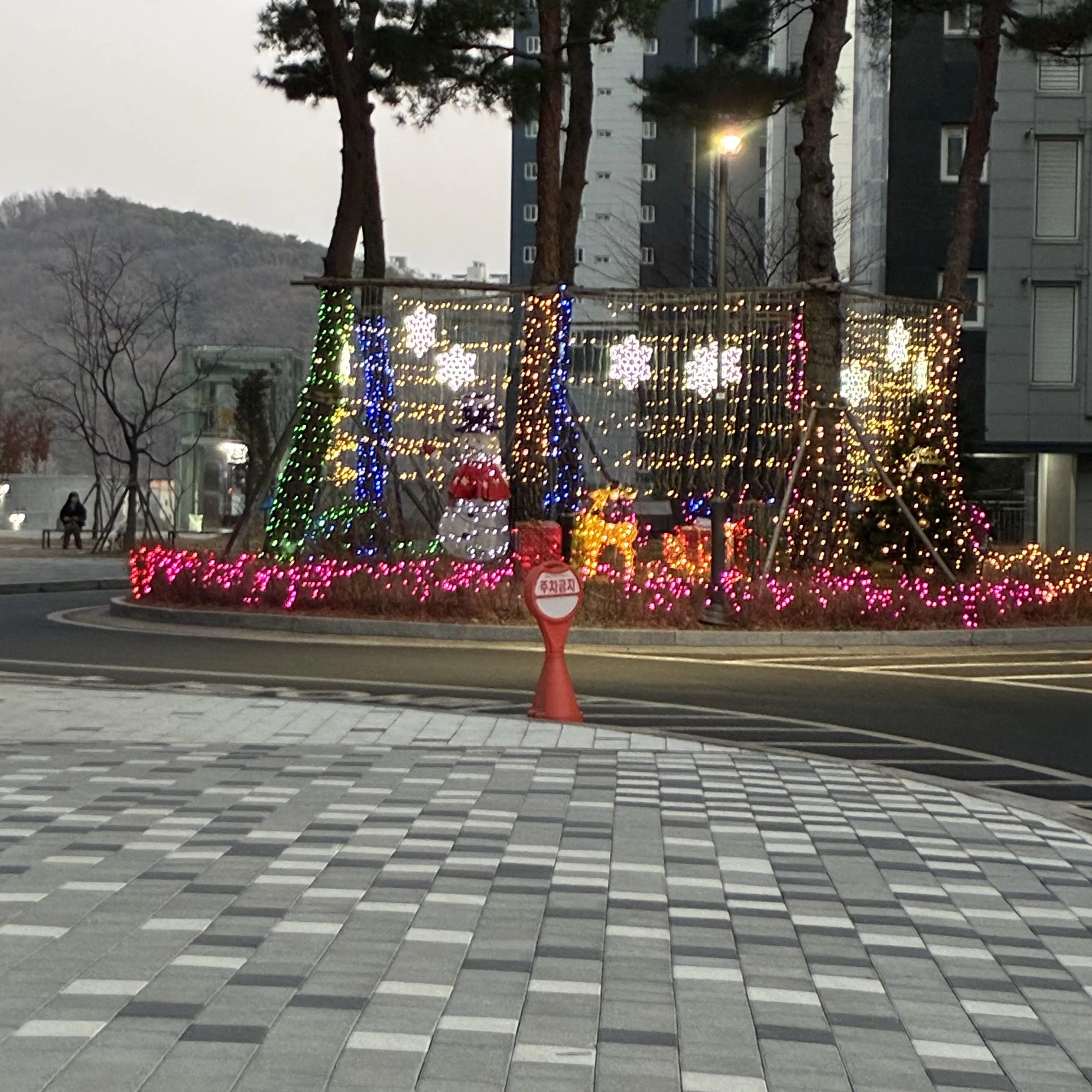 MerryKite9811의 엔시티위시 멤버되기