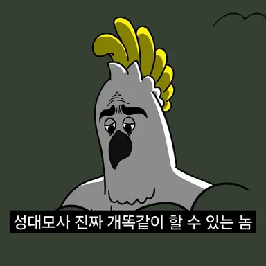 Profile image of 브리트리 점례