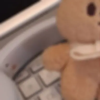 Profile image of ジソン