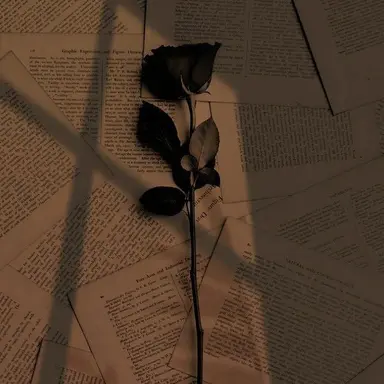 Profile image of 서라더