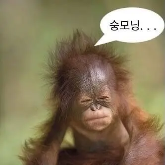 StormyJeans8387의 오랑이