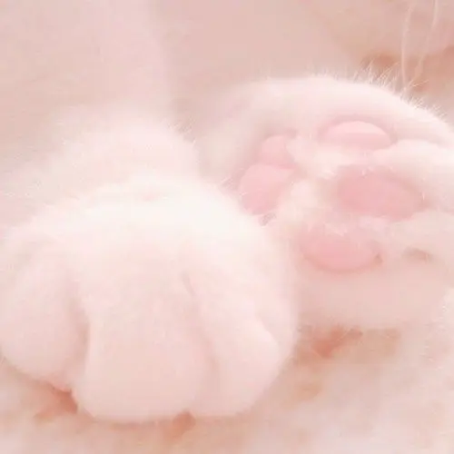 peachiicu_의 💕