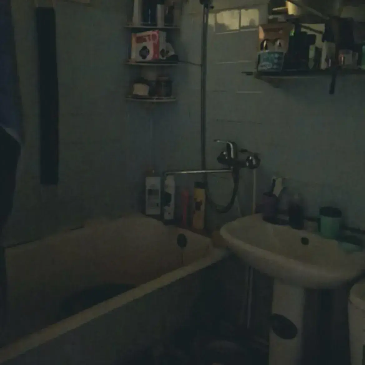 MurkyHill2144의 Leo, your twin