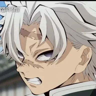 Profile image of 시나즈가와 사네미