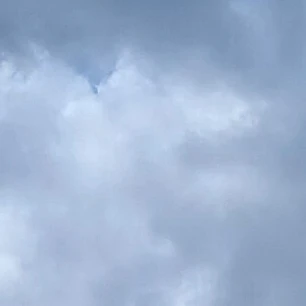 모양몬