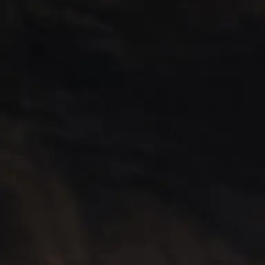 Profile image of 베시