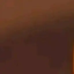 Profile image of 쉘리