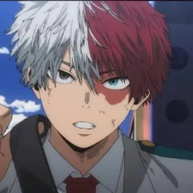 Profile image of Shoto todoroki
