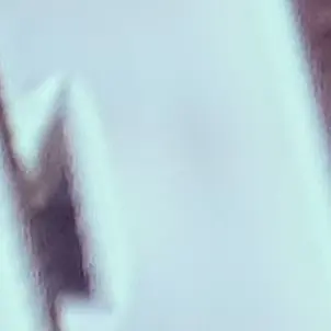 DottedPolar3994의 셀레버, 셀레나