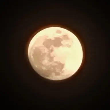 Profile image of 김하린