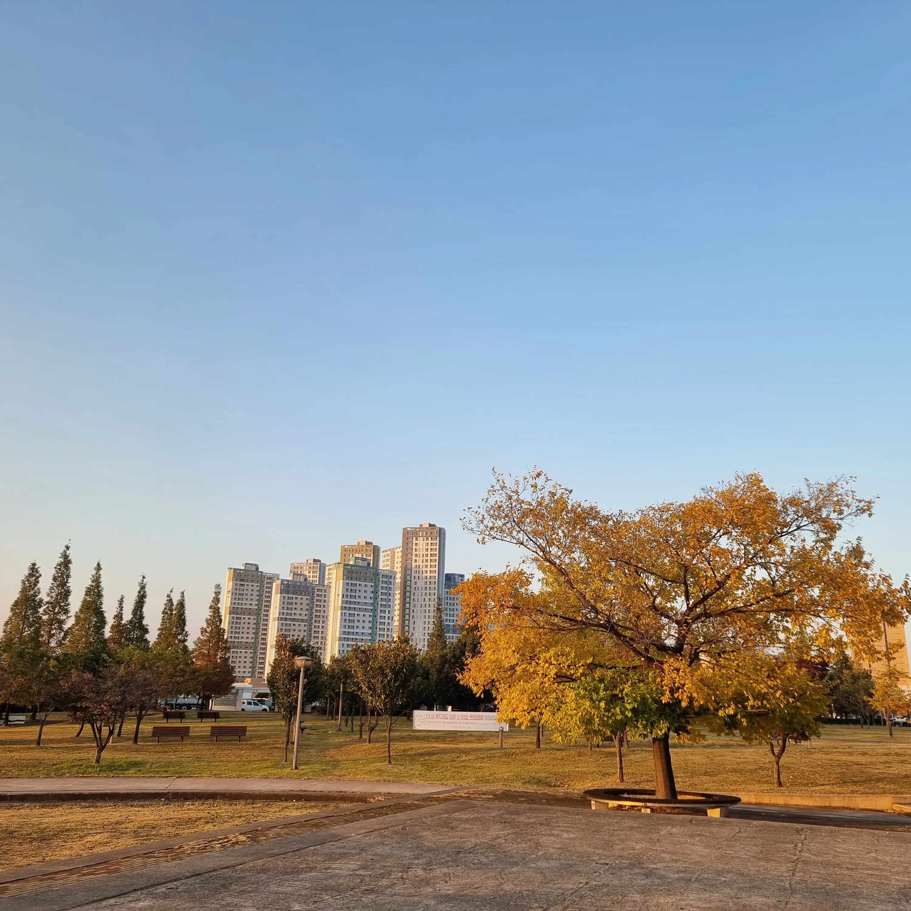 MistyFeist0223의 혈육 새1끼