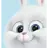 정한