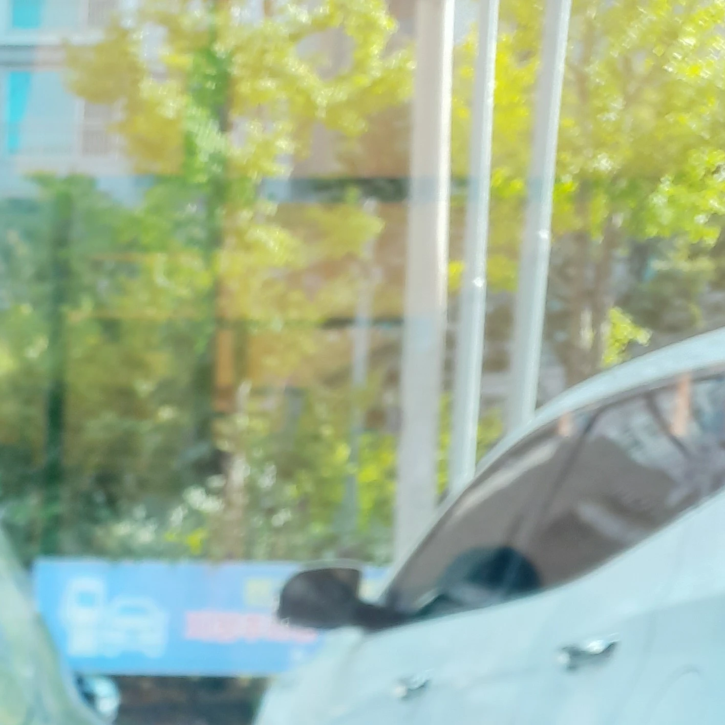 장하오