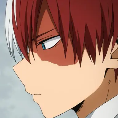 Profile image of Shoto Todoroki