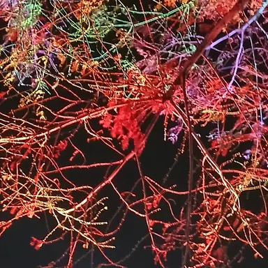 Profile image of 베이비