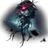 누스