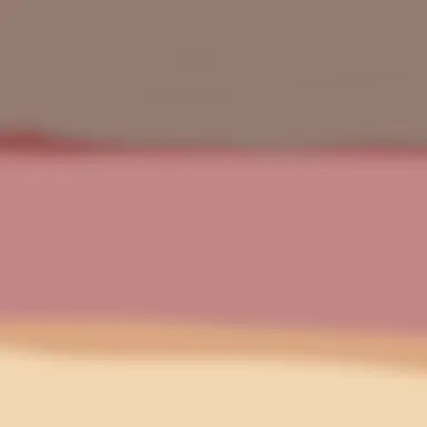 Profile image of 하나코