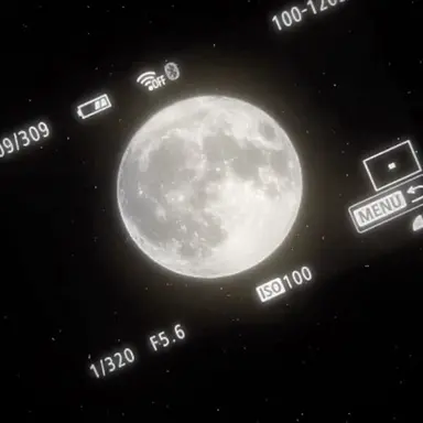 Profile image of 구해영