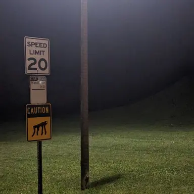 Profile image of 선우