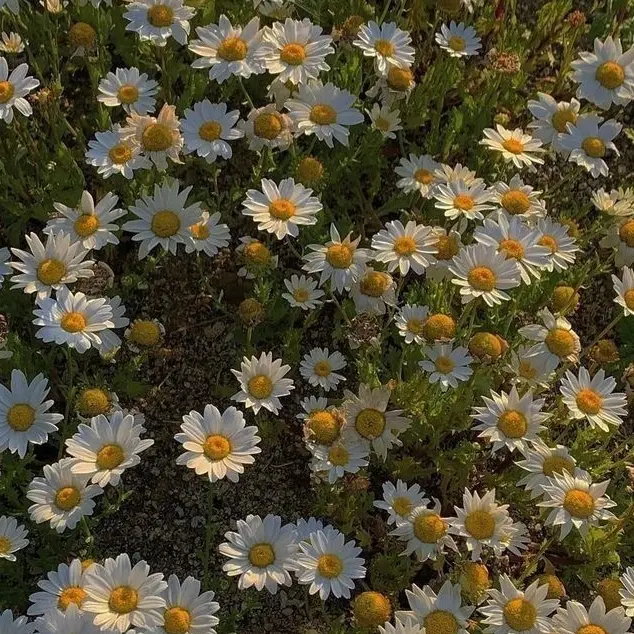 Just_a_person.의 정공룡