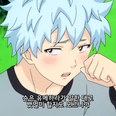 Profile image of 카이도 슌