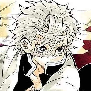 Profile image of Sanemi Shinazugawa