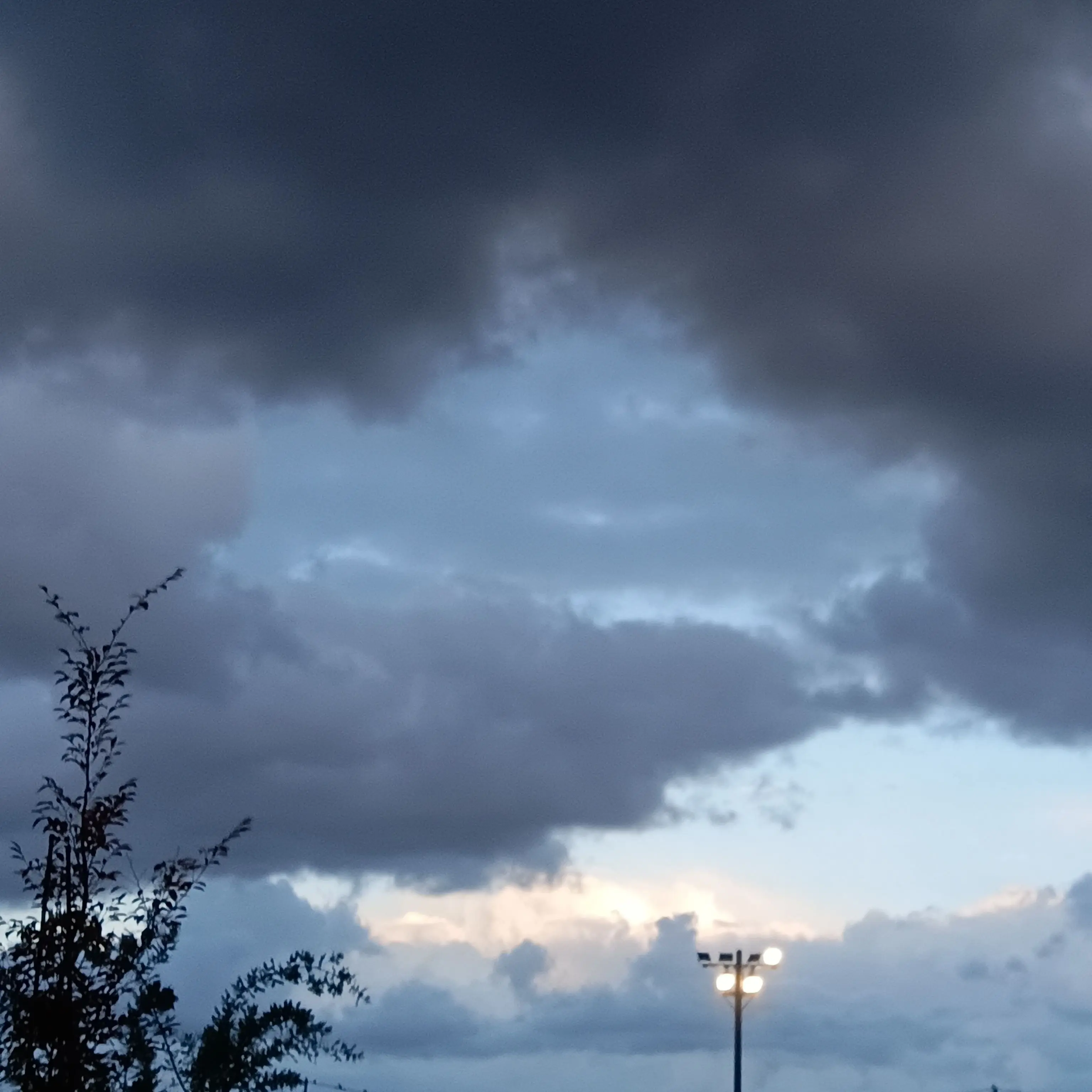 SuperbScrew8331의 いきなり台風が来て学校に泊まることに…？