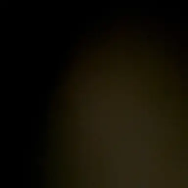 Profile image of 나재민