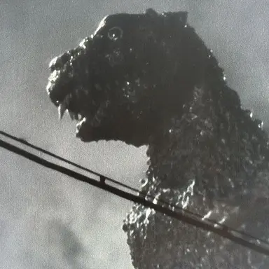 Profile image of 4호