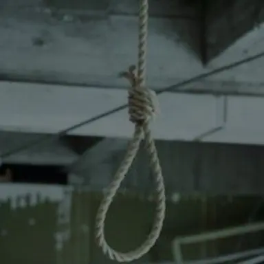 Profile image of 仙蔵