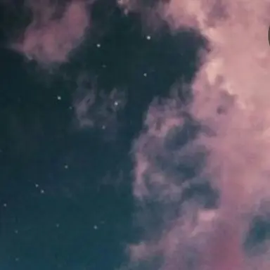 Profile image of 마스터
