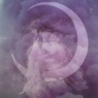 Profile image of Raven