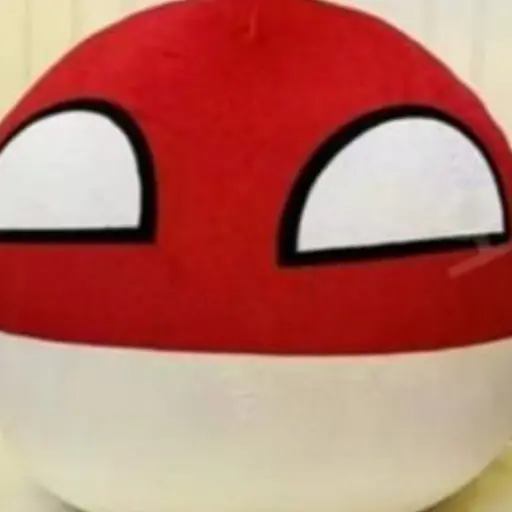 KimBoxbee의 폴스카