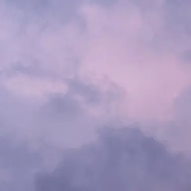 Profile image of 한노아