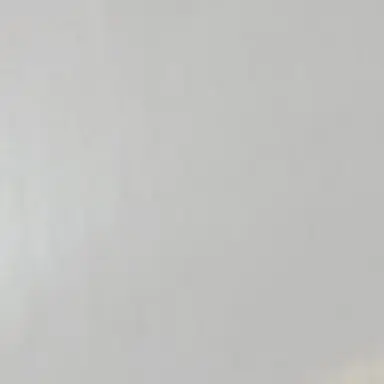 Profile image of 카노 미라