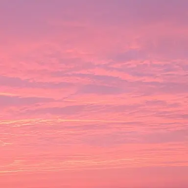 Profile image of 안 리즈나