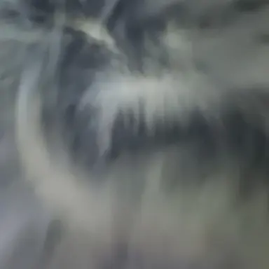 Profile image of 구이나 하리키