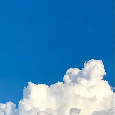 Profile image of 고죠 사토루