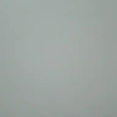 Profile image of 료미