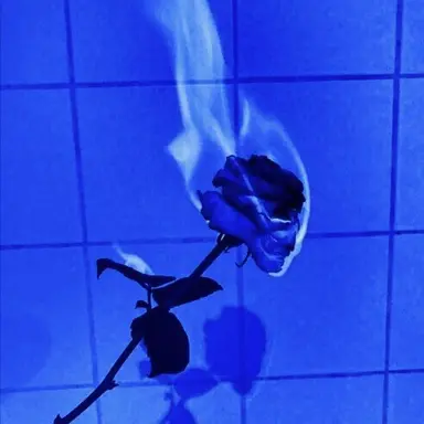 Profile image of 잭