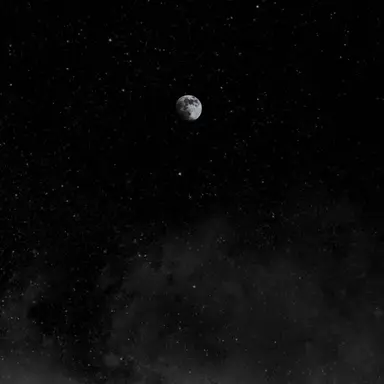 Profile image of 幽霊さん