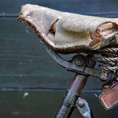 Profile image of 피트 더프리스