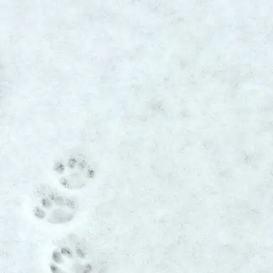 Profile image of 킬리안