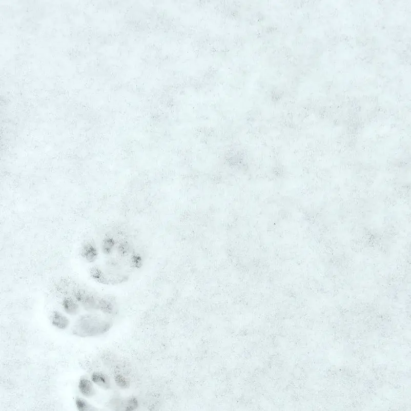 Zeta_dislike의 꼰대 북부대공