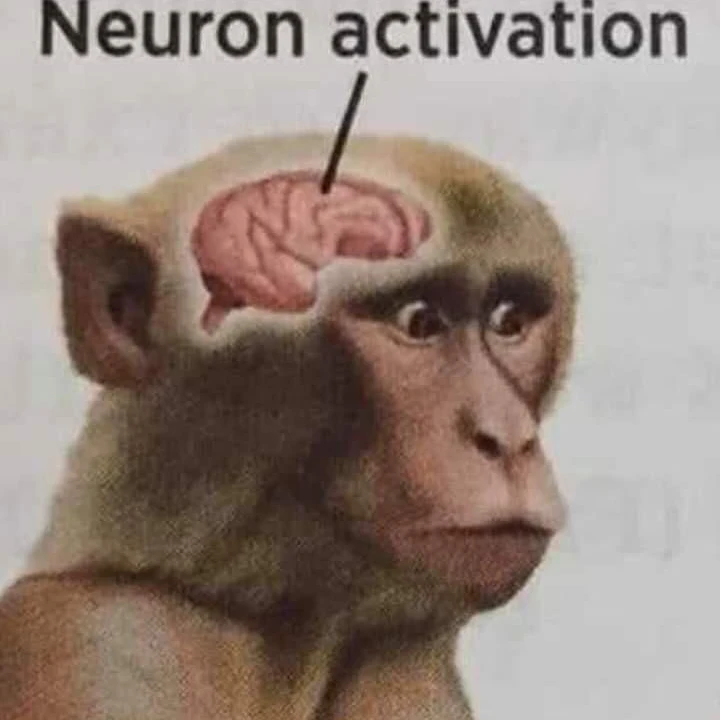 최몽키