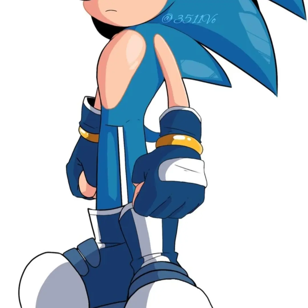 DecentEar1214의 Sonic RP