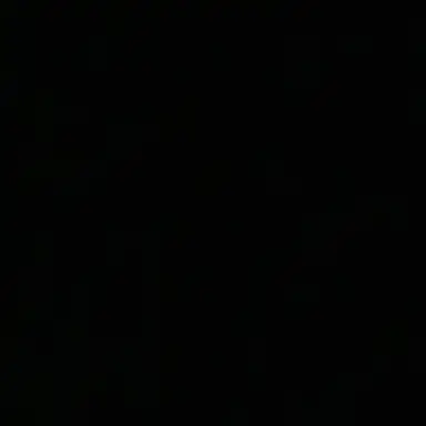 Profile image of M