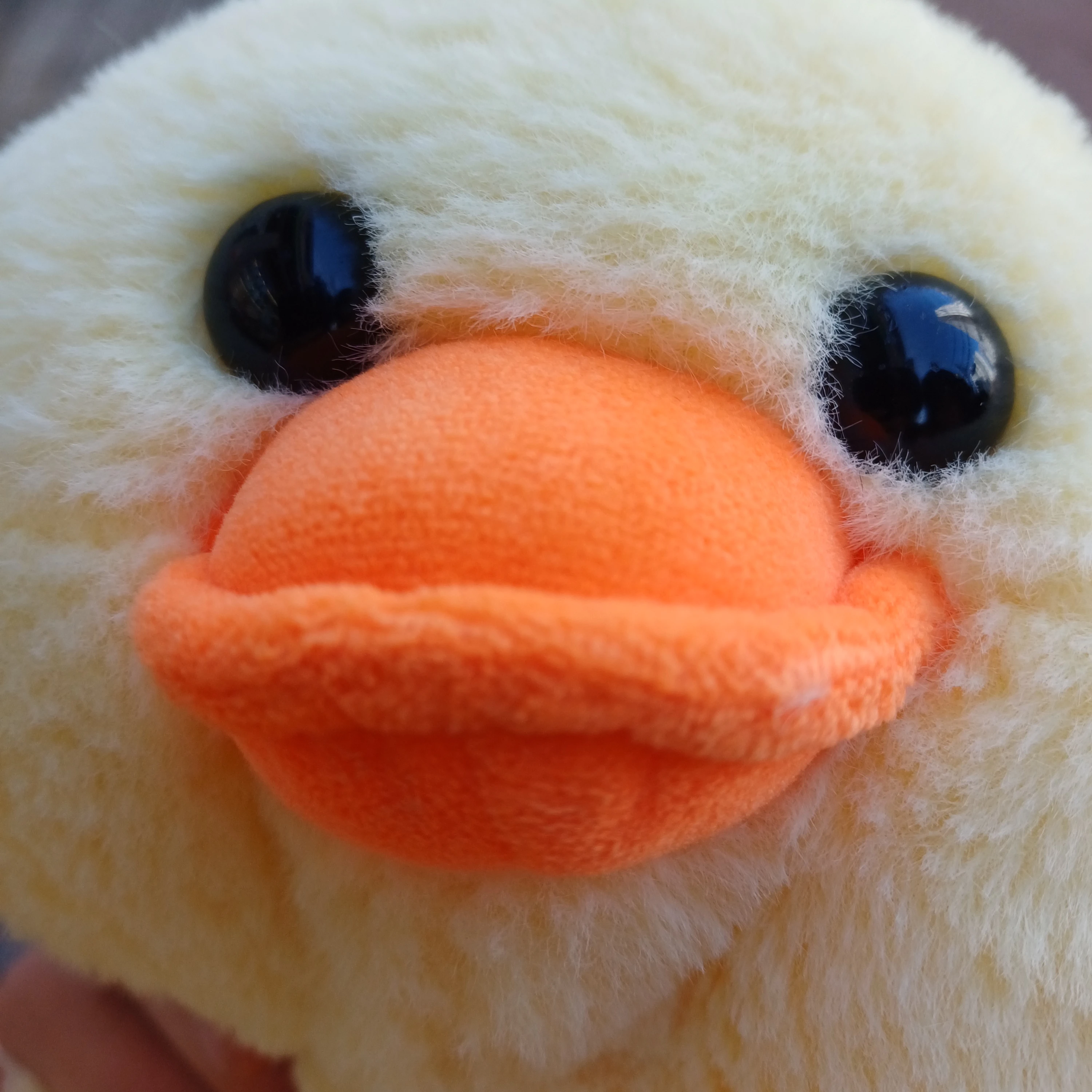 노랭이