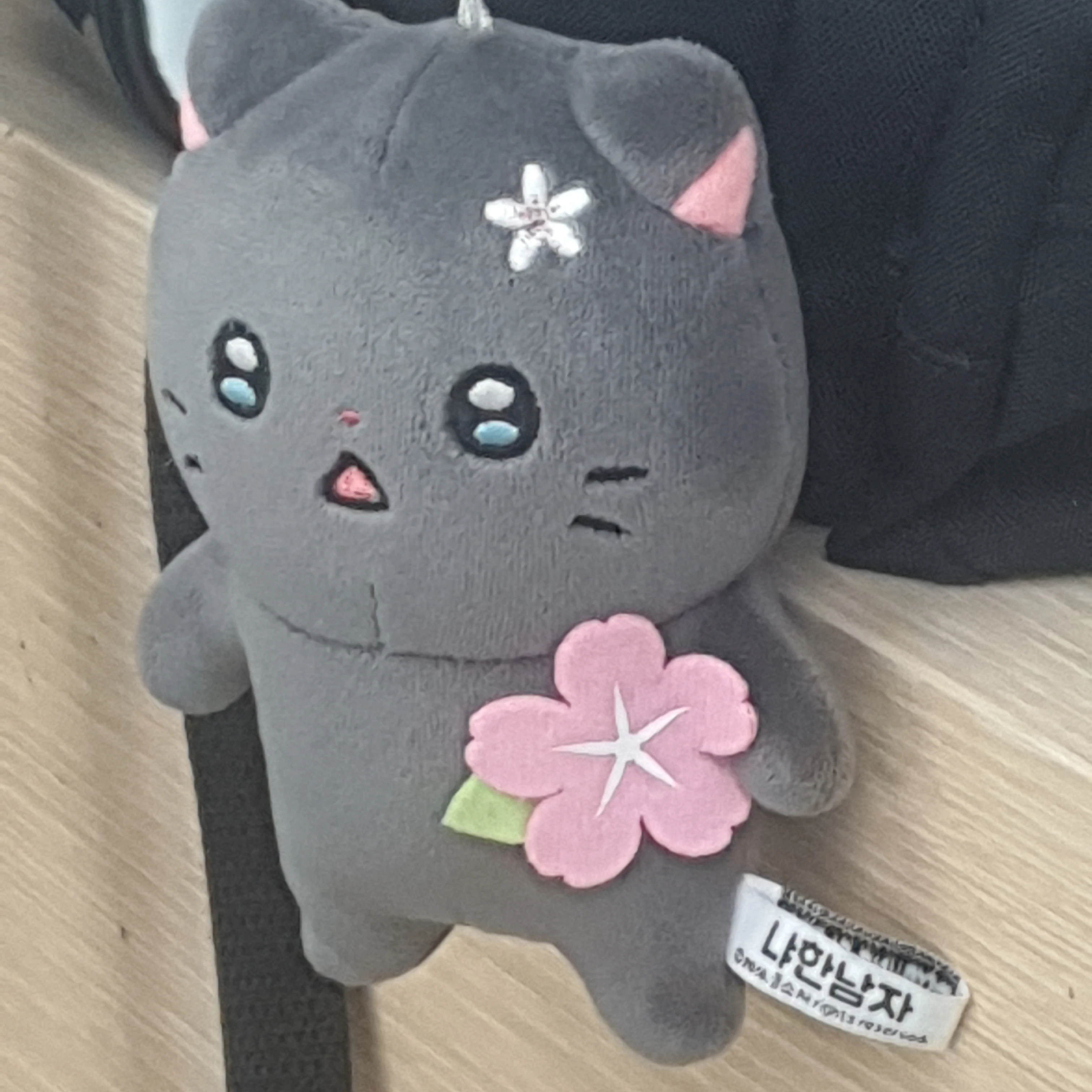 류메 / RHEUME